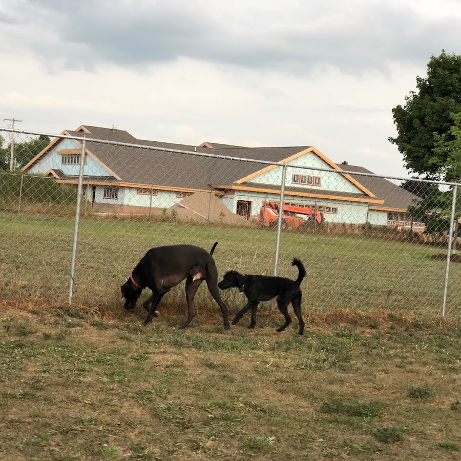 Otsego County Dog Park