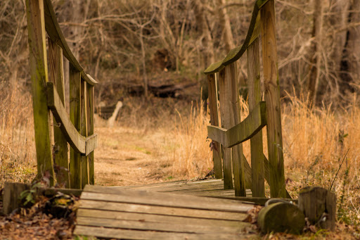 Nature Preserve «Glendale Shoals Preserve», reviews and photos, Emma Cudd Rd, Spartanburg, SC 29302, USA