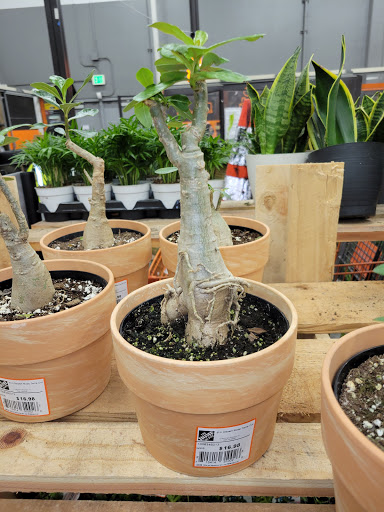 Home Improvement Store «The Home Depot», reviews and photos, 16800 Roscoe Blvd, Van Nuys, CA 91406, USA