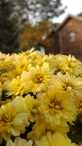 Park «Jefferson Park», reviews and photos, 4822 N Long Ave, Chicago, IL 60630, USA