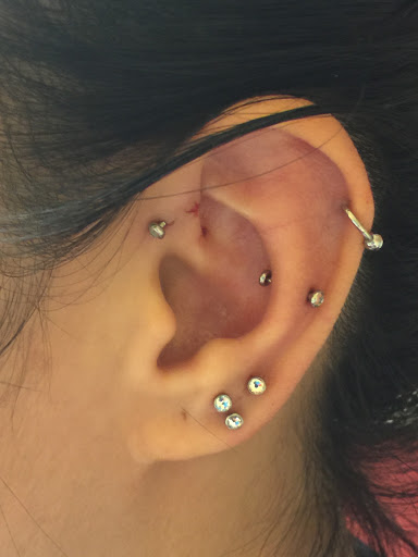 Explore tree tattoo sleeve ideas, creative tattoo ideas in San Diego, available at Body Art Salon