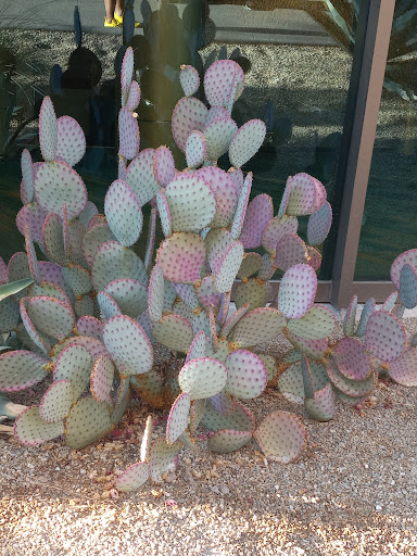 Tourist Attraction «SlotZilla Zip Line», reviews and photos, 425 Fremont St #160, Las Vegas, NV 89101, USA