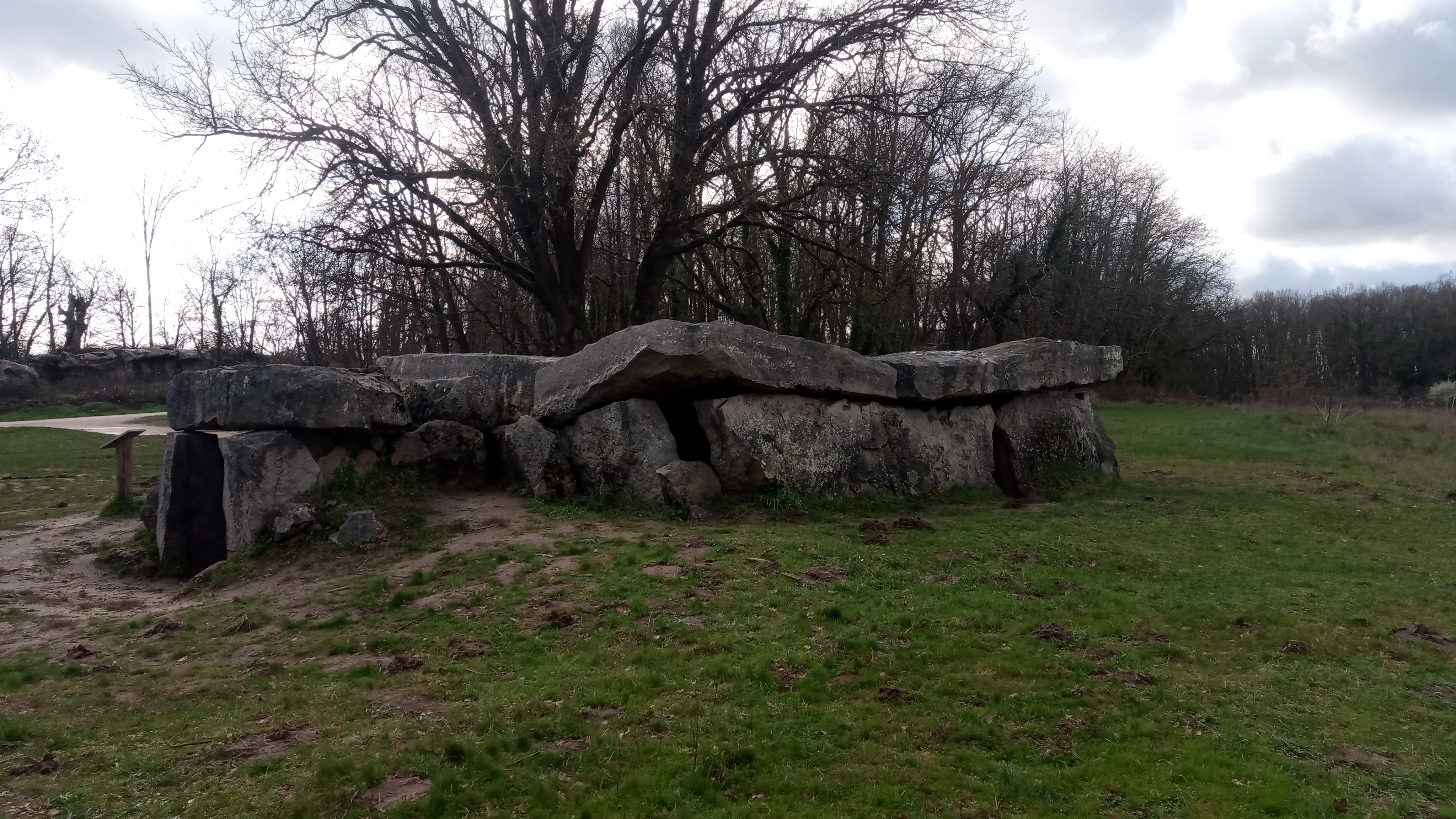 Photo n° 3 de l'avis de Christophe.e fait le 03/03/2020 à 17:06