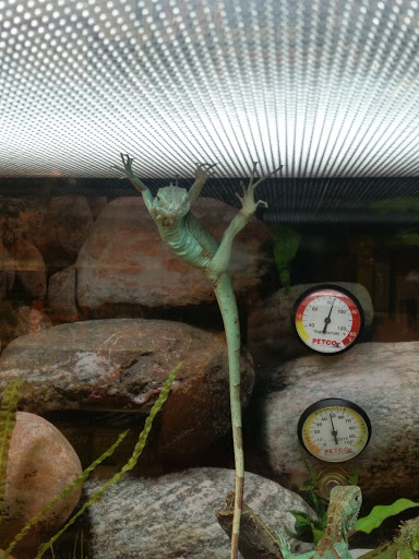 Pet Supply Store «Petco Animal Supplies», reviews and photos, 6850 US-90, Daphne, AL 36526, USA