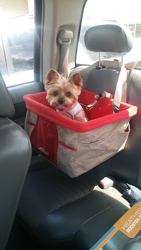 Pet Supply Store «Petco Animal Supplies», reviews and photos, 2358 S Range Ave, Denham Springs, LA 70726, USA