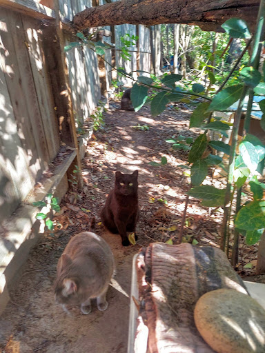 Car Wash «Quick Quack Car Wash - Folsom», reviews and photos, 1300 Prairie City Rd, Folsom, CA 95630, USA