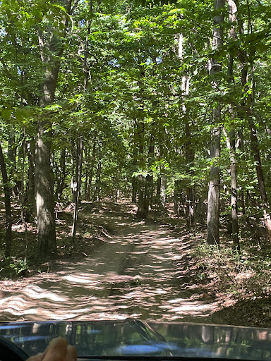 Tourist Attraction «Saugatuck Dune Rides Inc», reviews and photos, 6495 Blue Star Hwy, Saugatuck, MI 49453, USA