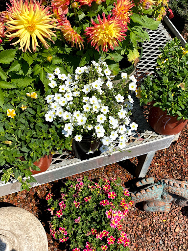 Hardware Store «Payless Hardware, Rockery and Nursery», reviews and photos, 2927 King Rd, San Jose, CA 95122, USA