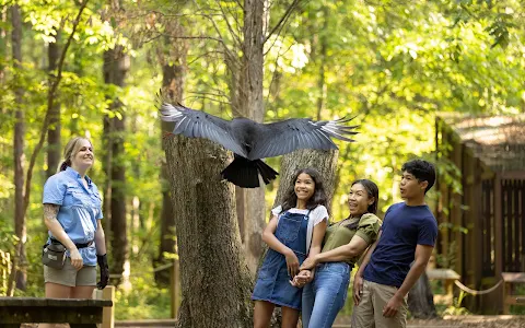 Carolina Raptor Center image