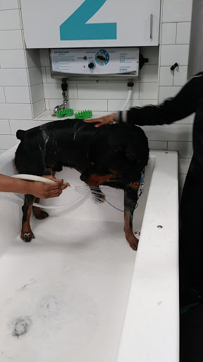 Pet Supply Store «PetSmart», reviews and photos, 529 Atlantic Ave, Oceanside, NY 11572, USA