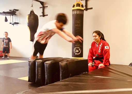 Martial Arts School «Threshold Martial Arts», reviews and photos, 1415 Ellinwood Ave #2, Des Plaines, IL 60016, USA