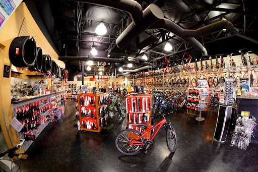 Bicycle Store «Global Bikes - Ahwatukee Bike Shop», reviews and photos, 3636 E Ray Rd #6, Phoenix, AZ 85044, USA