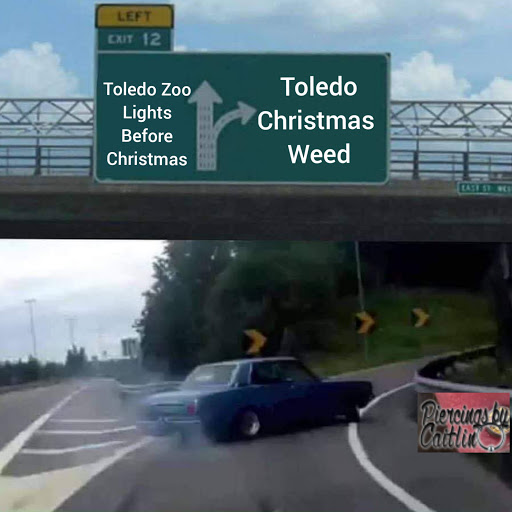 Explore turtle tattoo ideas for guys, creative tattoo ideas in Toledo, available at Piercings by Caitlin presents Holier Toledo