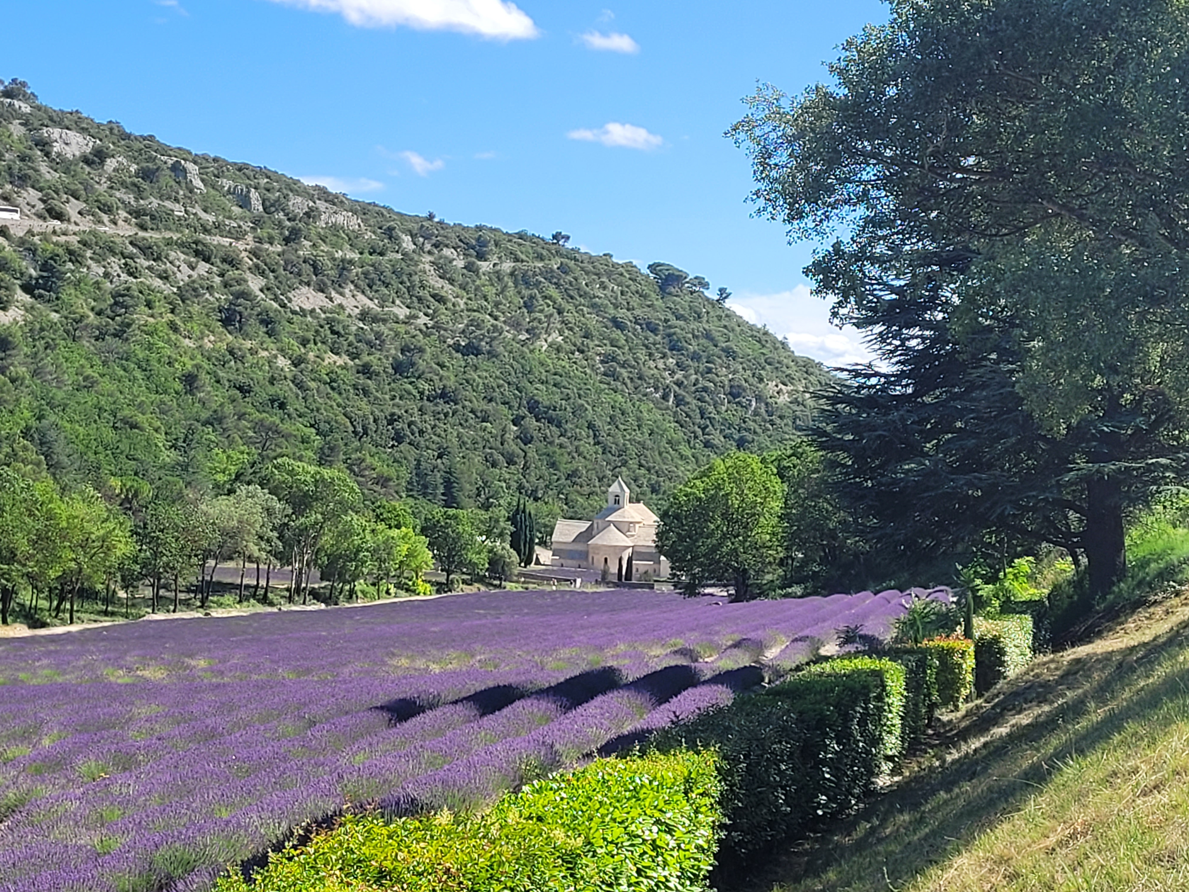 Photo n° 24 de l'avis de Olga.e fait le 07/07/2023 à 14:21