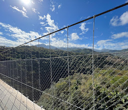Canopy River Centro Insurgentes photo