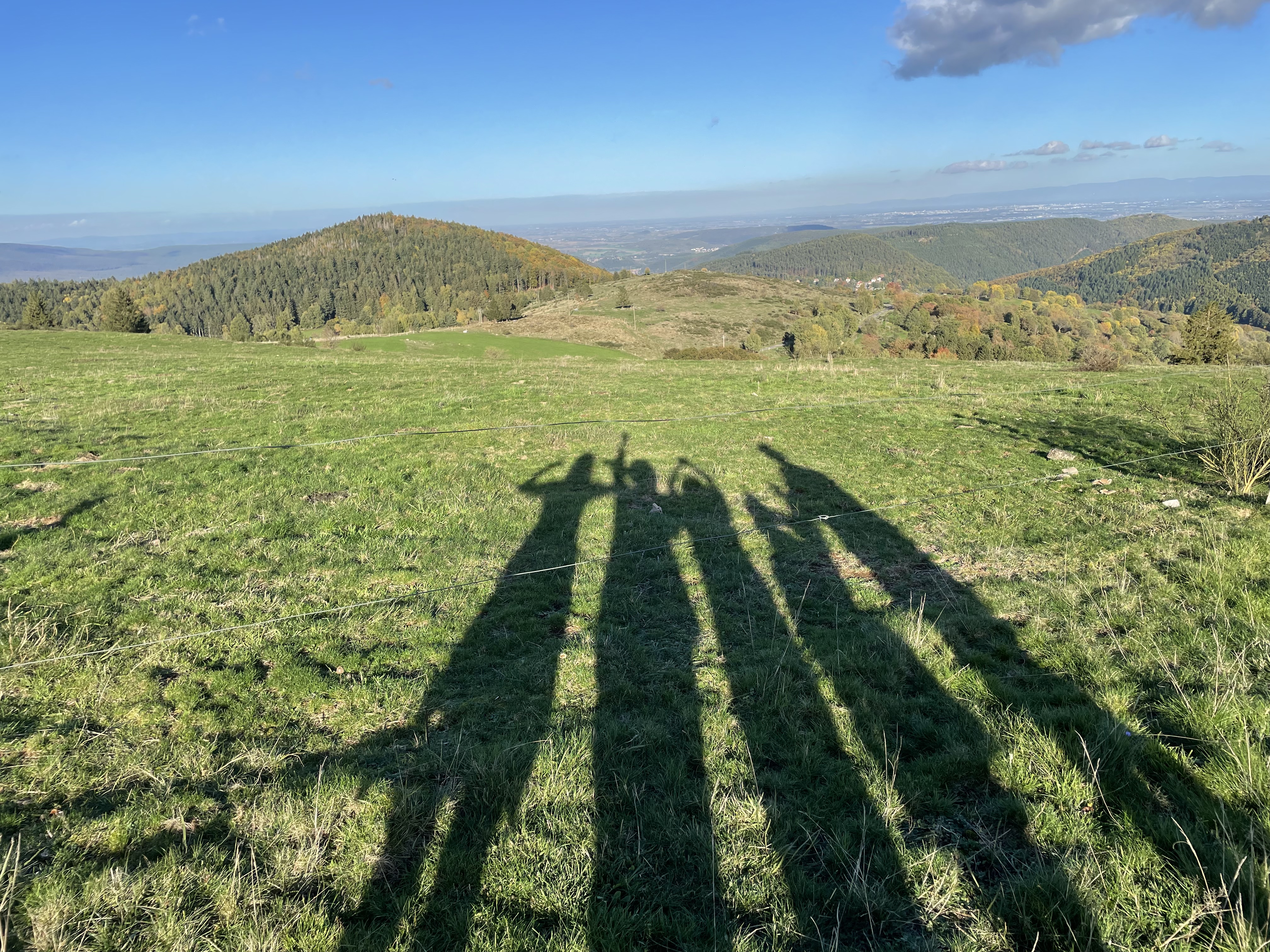 Photo n° 4 de l'avis de Caro.e fait le 23/10/2022 à 16:41