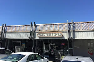 Village Pet Shop image
