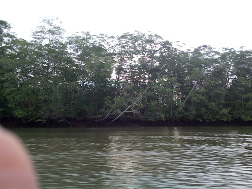 Photo of Punta Patiño