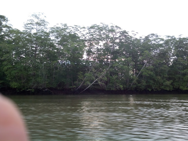 Punta Patiño by null
