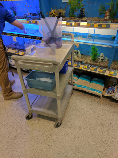 Pet Supply Store «PetSmart», reviews and photos, 849 E 23rd St, Panama City, FL 32405, USA