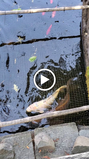 General Contractor «Laurel Bay Gardens Inc», reviews and photos, 88493 US-101, Florence, OR 97439, USA