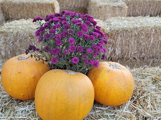 Park «Heritage Hill Historical Park», reviews and photos, 25151 Serrano Rd, Lake Forest, CA 92630, USA