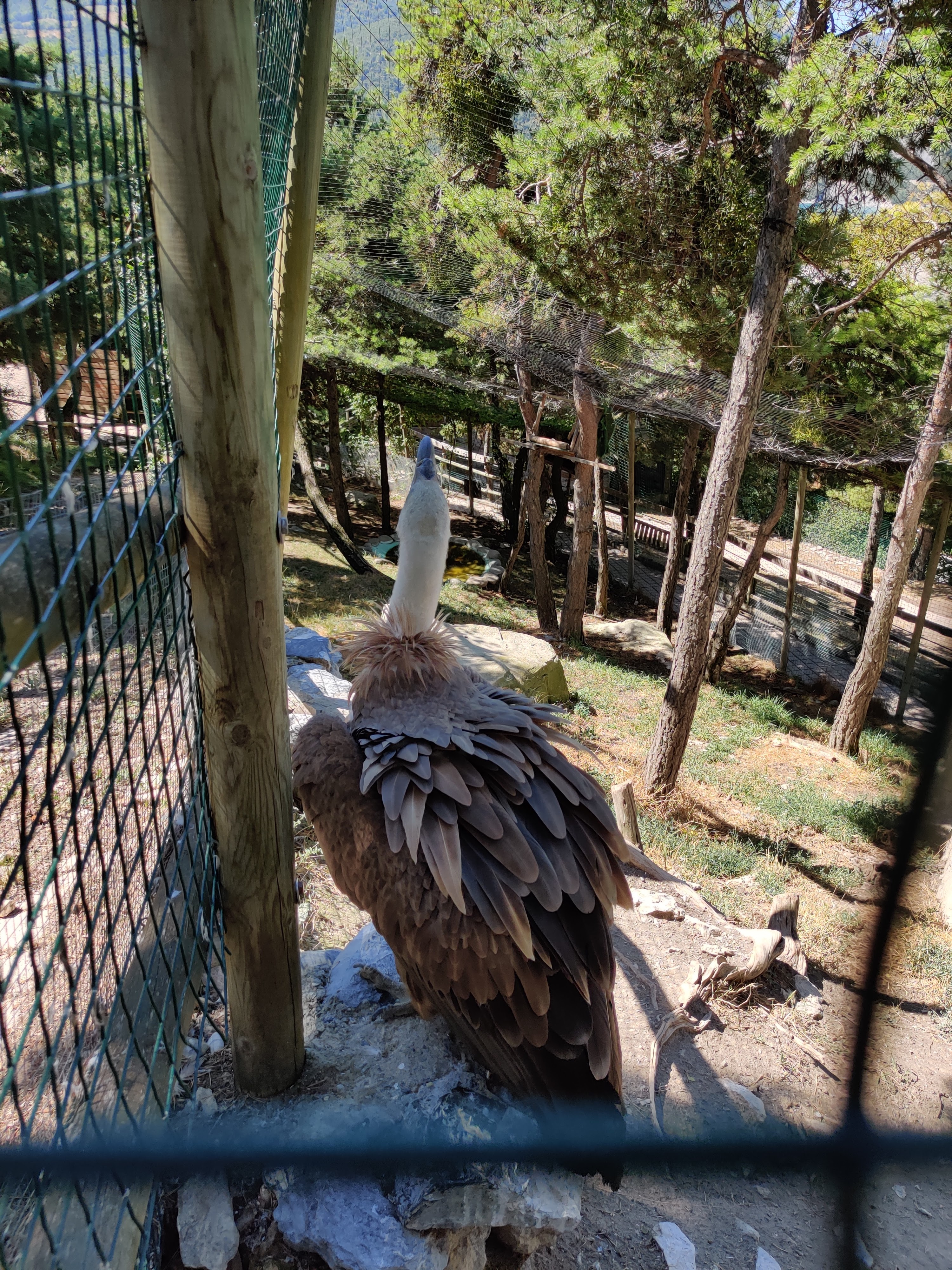 Photo n° 10 de l'avis de Julien.o fait le 14/08/2020 à 12:49