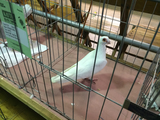 Park «Warsaw Park», reviews and photos, 119 Pulaski Hwy, Ansonia, CT 06401, USA