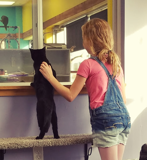 Pet Supply Store «Animal House Pet Supplies», reviews and photos, 733 Phillips Blvd, Sauk City, WI 53583, USA