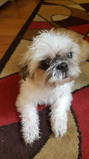 Pet Supply Store «Petco Animal Supplies», reviews and photos, 1410 N Loop 336 W, Conroe, TX 77304, USA