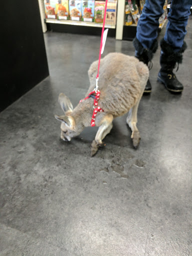 Pet Supply Store «Pet Pros Puyallup», reviews and photos, 5614 176th St E, Puyallup, WA 98375, USA