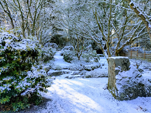 Park «Wilburton Hill Park», reviews and photos, 12400 Main St, Bellevue, WA 98005, USA