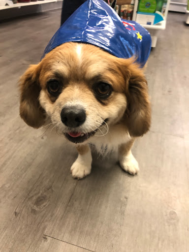 Pet Supply Store «Sonoma Pet and Aquatics», reviews and photos, 201 W Napa St #7, Sonoma, CA 95476, USA