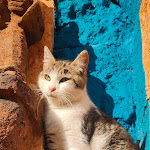 Photo n°5 de l'avis de Antonella.e fait le 26/12/2021 à 12:26 sur le  Tenute Al Bano à Cellino San Marco