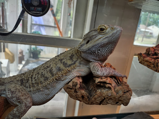 Pet Store «Moby Dick Pet Store Inc», reviews and photos, 3700 Sashabaw Rd, Waterford Twp, MI 48329, USA