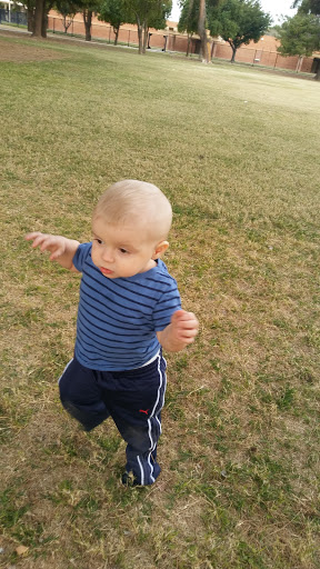 Park «Folley Memorial Park», reviews and photos, 601 E Frye Rd, Chandler, AZ 85225, USA