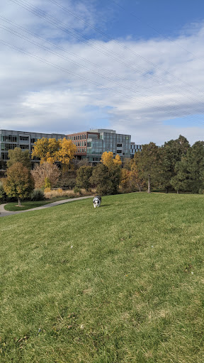 Park «Confluence Park», reviews and photos, 2250 15th St, Denver, CO 80202, USA