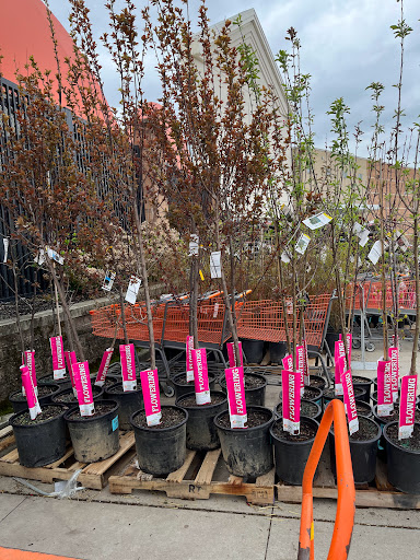 Home Improvement Store «The Home Depot», reviews and photos, 26241 Brookpark Rd, North Olmsted, OH 44070, USA