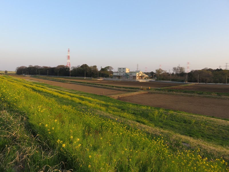 野田市 リサイクルセンター