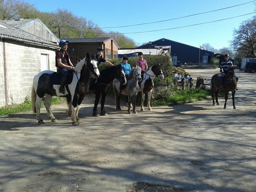 Erme Valley Riding for the Disabled Group