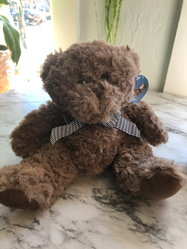 Florist «Exotica Florist», reviews and photos, 10376 Main Street, Fairfax, VA 22030, USA