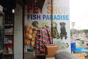 Fish Paradise image