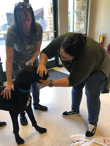 Paw Project of Georgia image