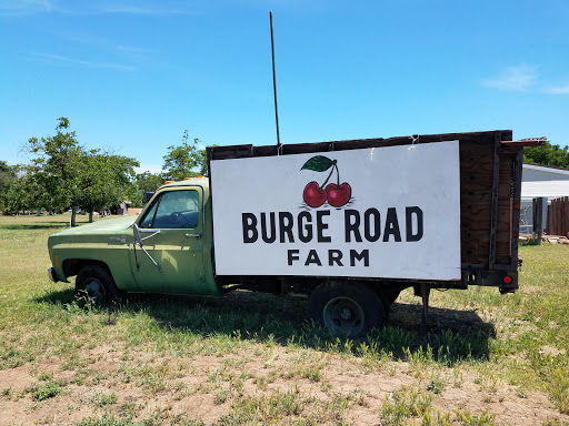 Burge Road Farm
