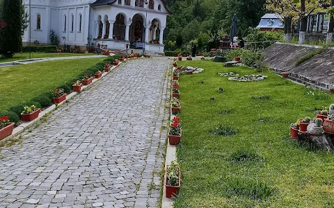 Mănăstirea Cârţişoara image