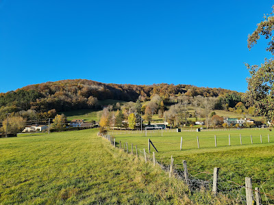 Gerbert à Aurillac