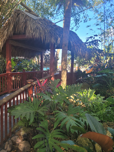 Landscape Designer «Santa Barbara Nursery», reviews and photos, 20425 SW 177th Ave, Miami, FL 33187, USA