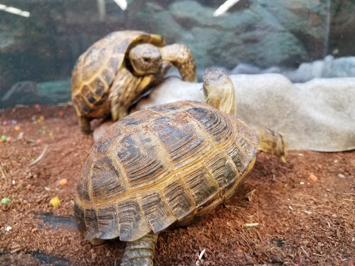 Pet Supply Store «Petco Animal Supplies», reviews and photos, 10 Sylvan St, Peabody, MA 01960, USA