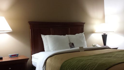Quality Inn near Six Flags Discovery Kingdom-Napa Valley image