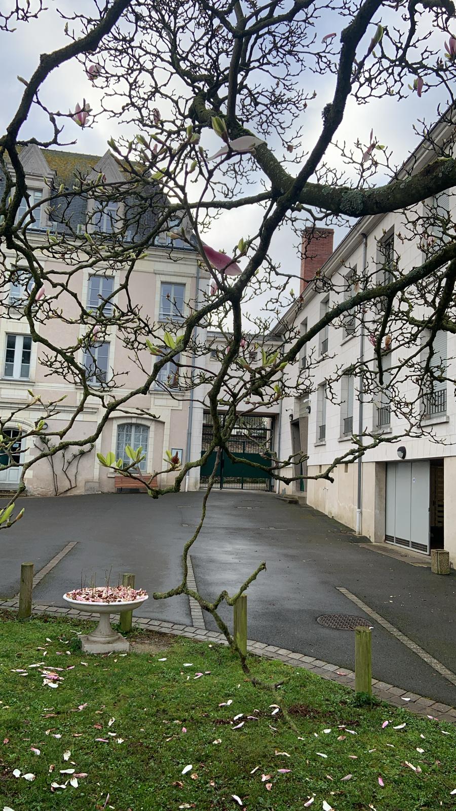 Photo n° 6 de l'avis de R.J fait le 15/03/2024 à 10:54